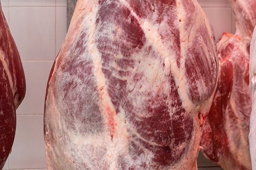 Coscia Bovino Garonnese